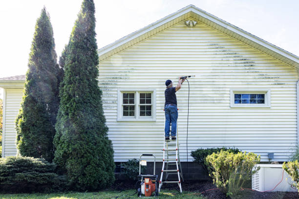 Best Roof Pressure Washing  in Byron, CA